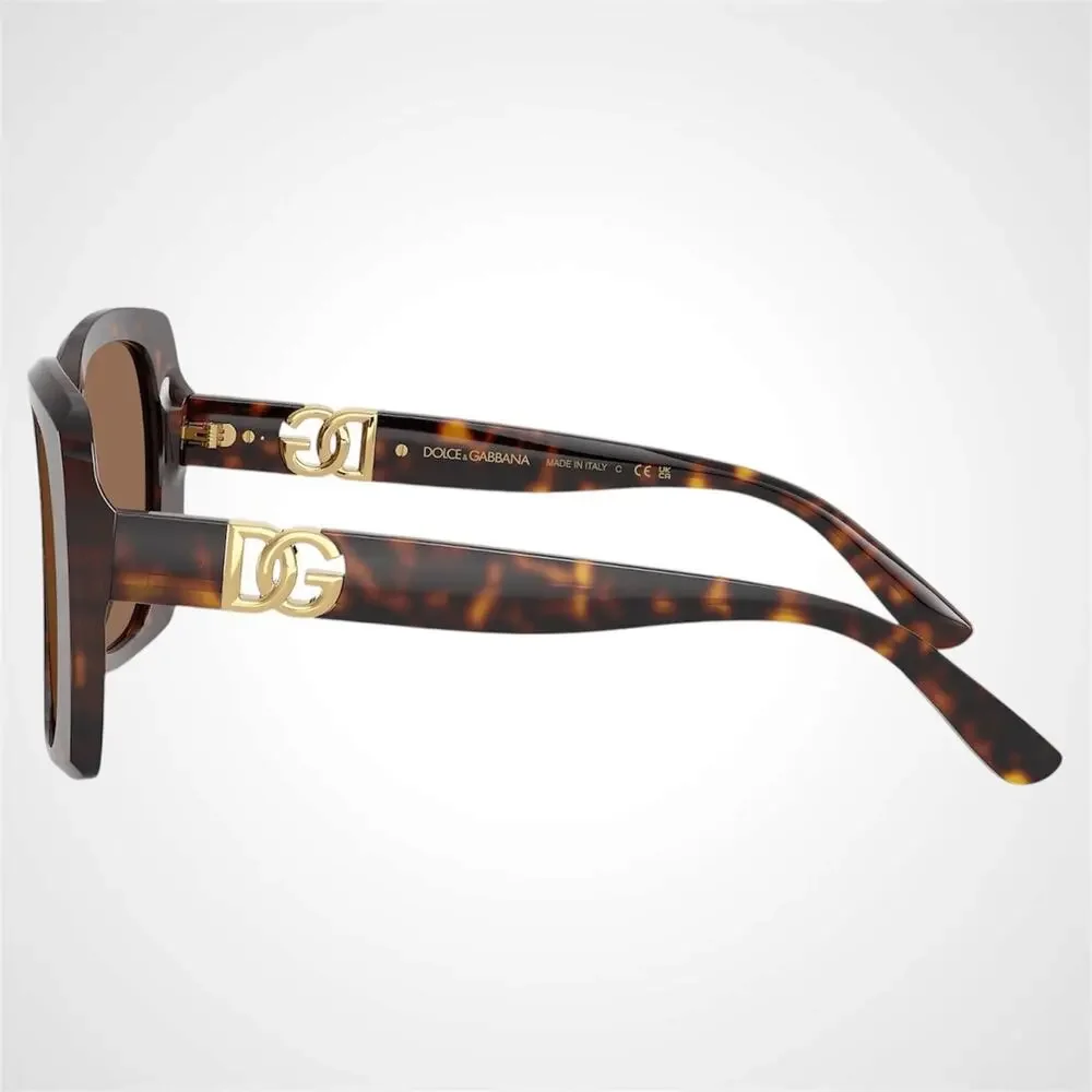New Dolce & Gabbana Sunglasses Brown Acetate Square Gold Metal DG